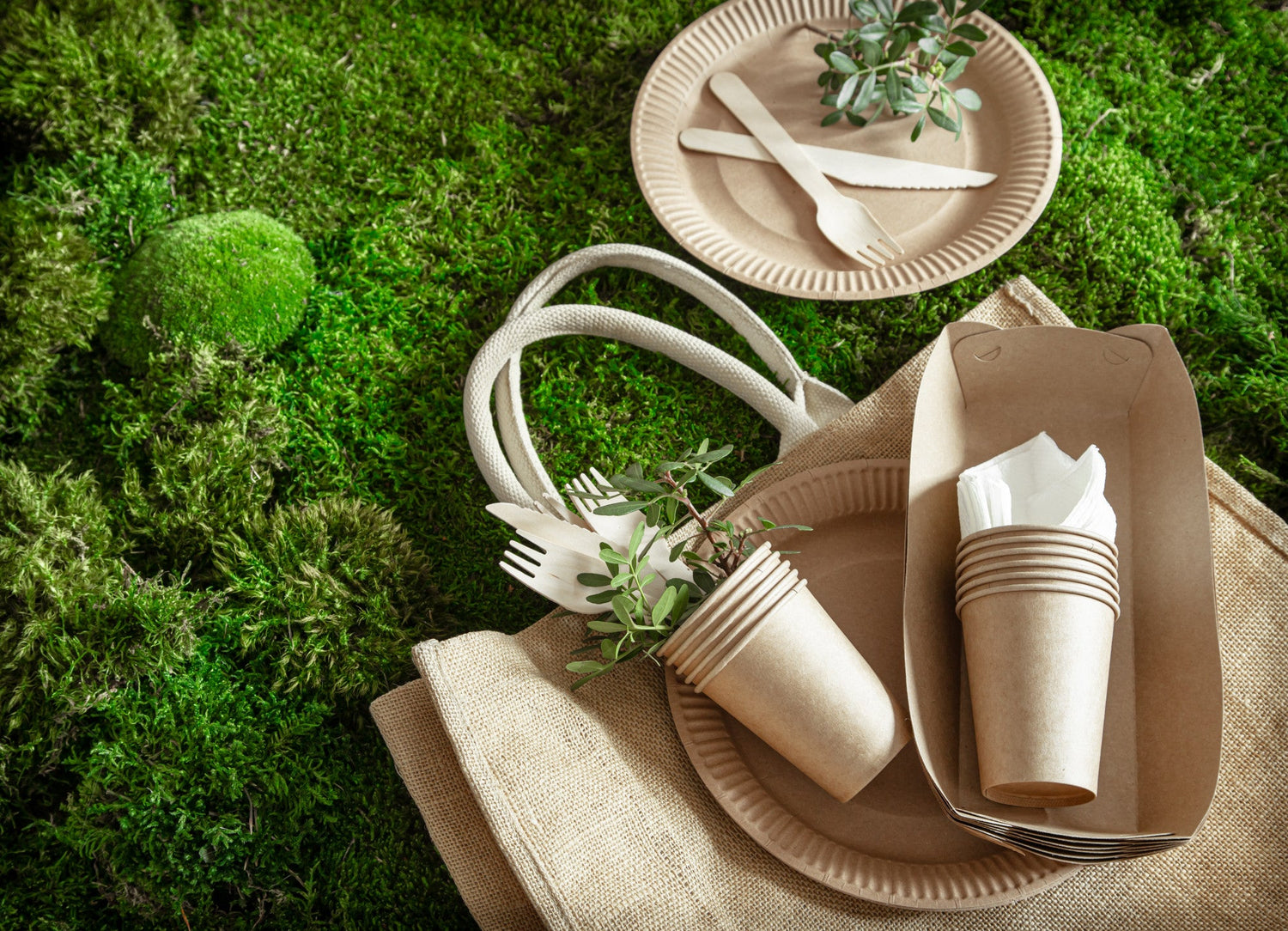 Eco-Friendly Packaging Ideas for Modern Food Brands