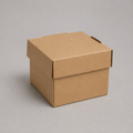 Kraft Burger Box (Pack of 100)
