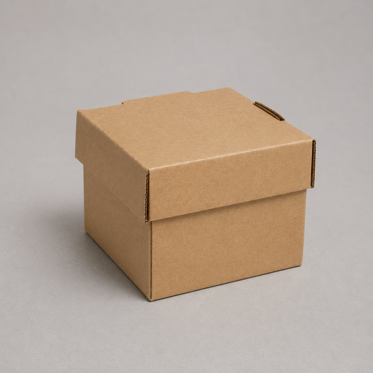 Kraft burger box with hinged lid