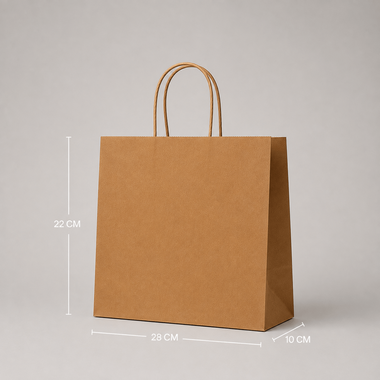 Small kraft paper carrier bag with twisted handles, 28 x 22 x 10cm